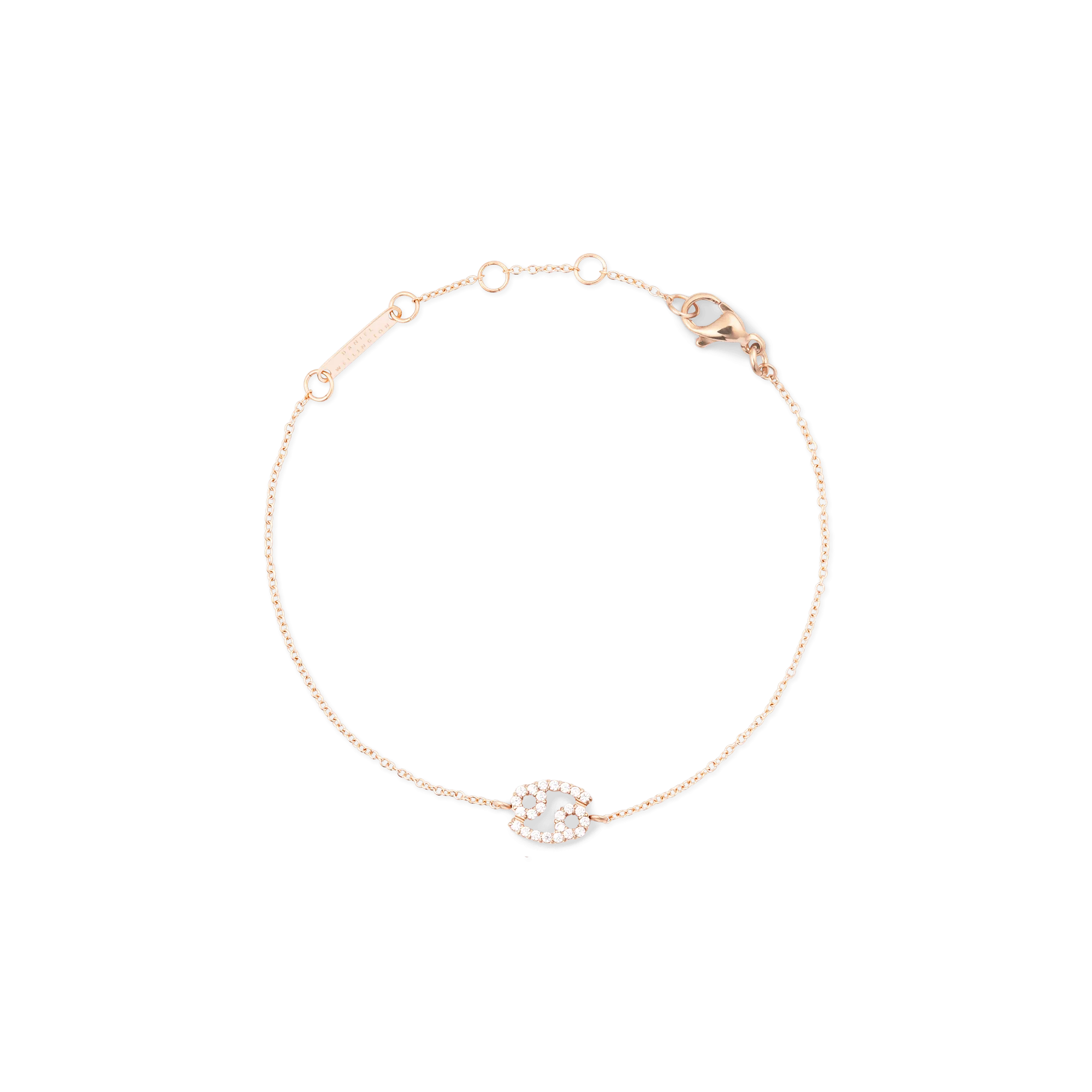 Crystal Zodiac Chain Bracelet Rose Gold Daniel Wellington