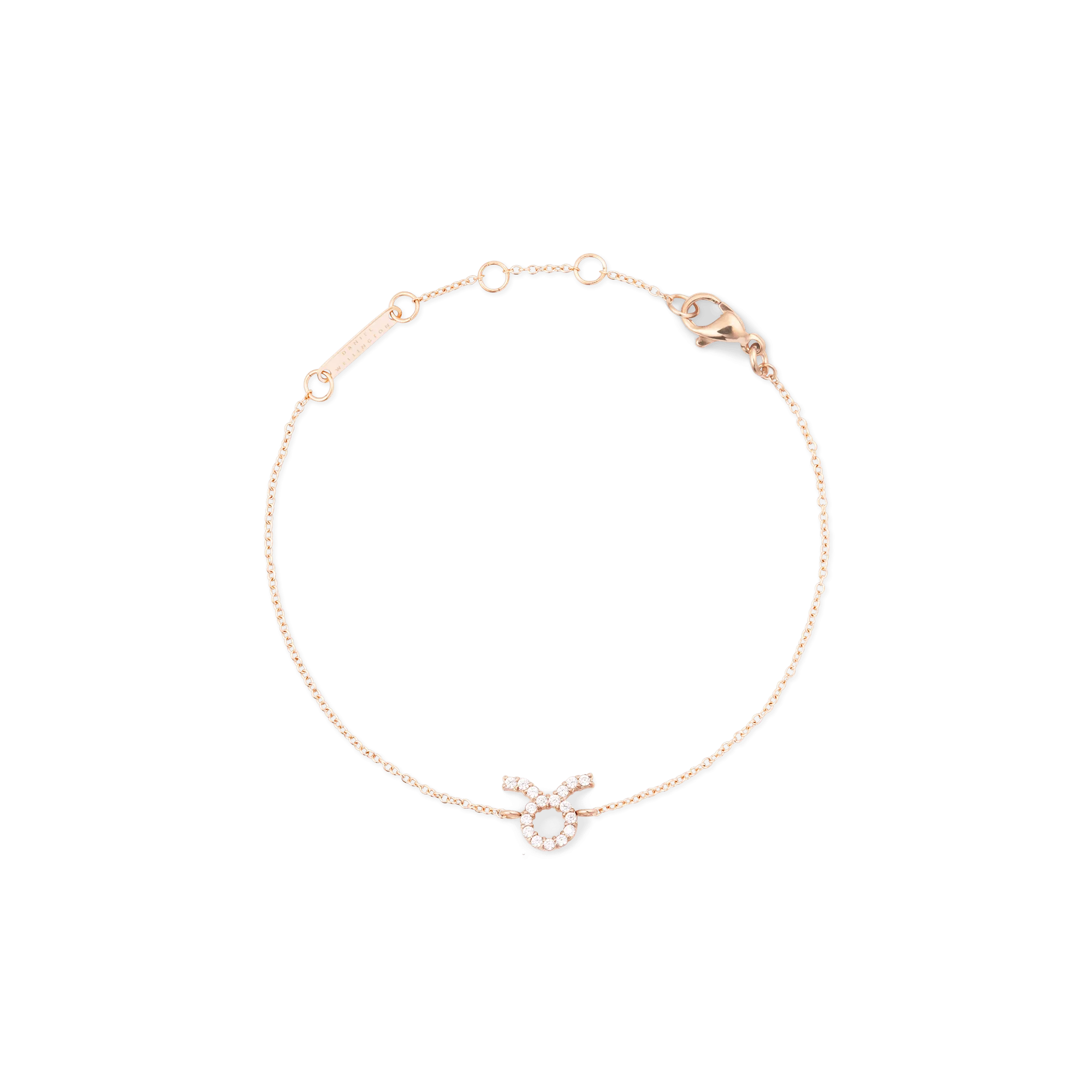 Crystal Zodiac Chain Bracelet Rose Gold Daniel Wellington