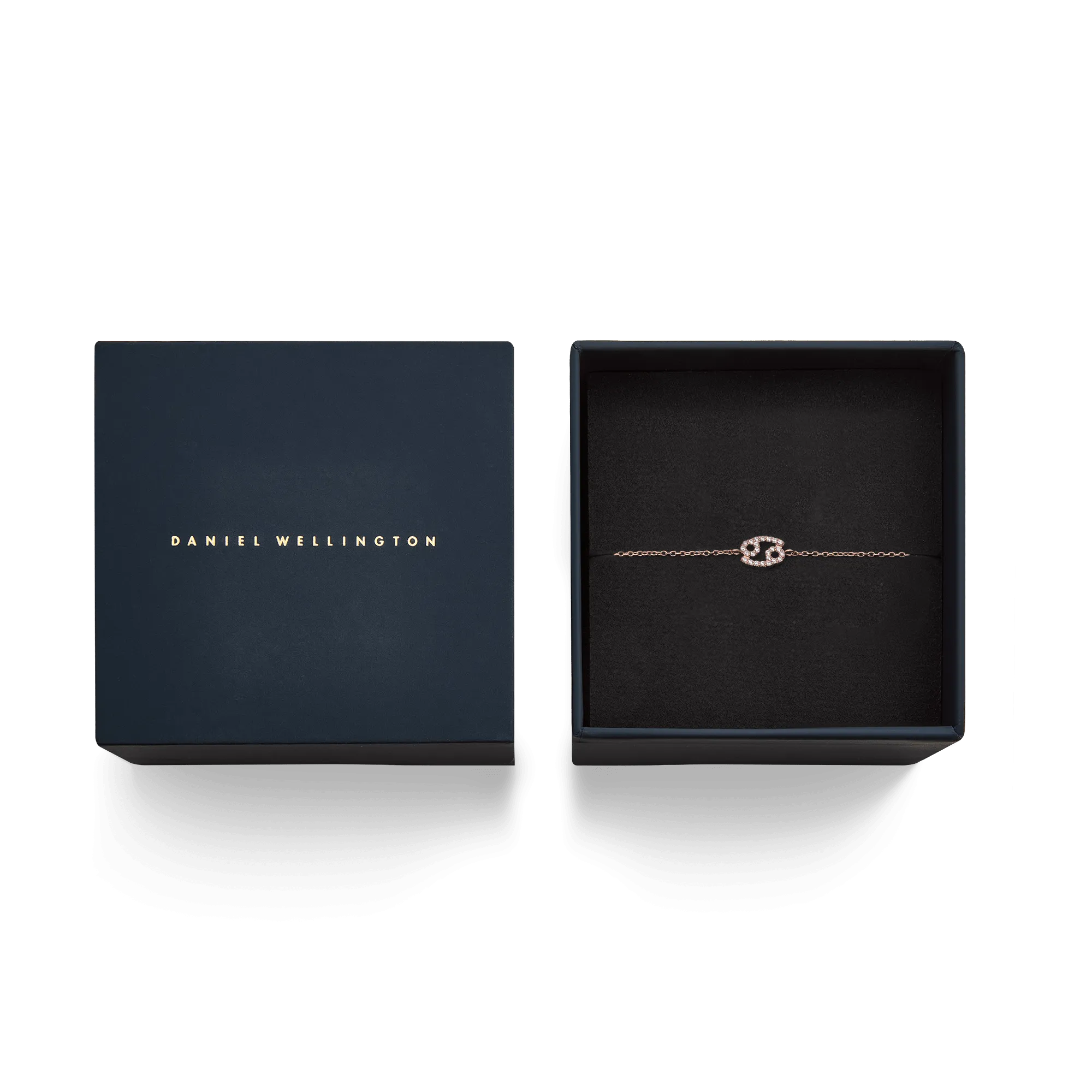 Crystal Zodiac Chain Bracelet Rose Gold Daniel Wellington
