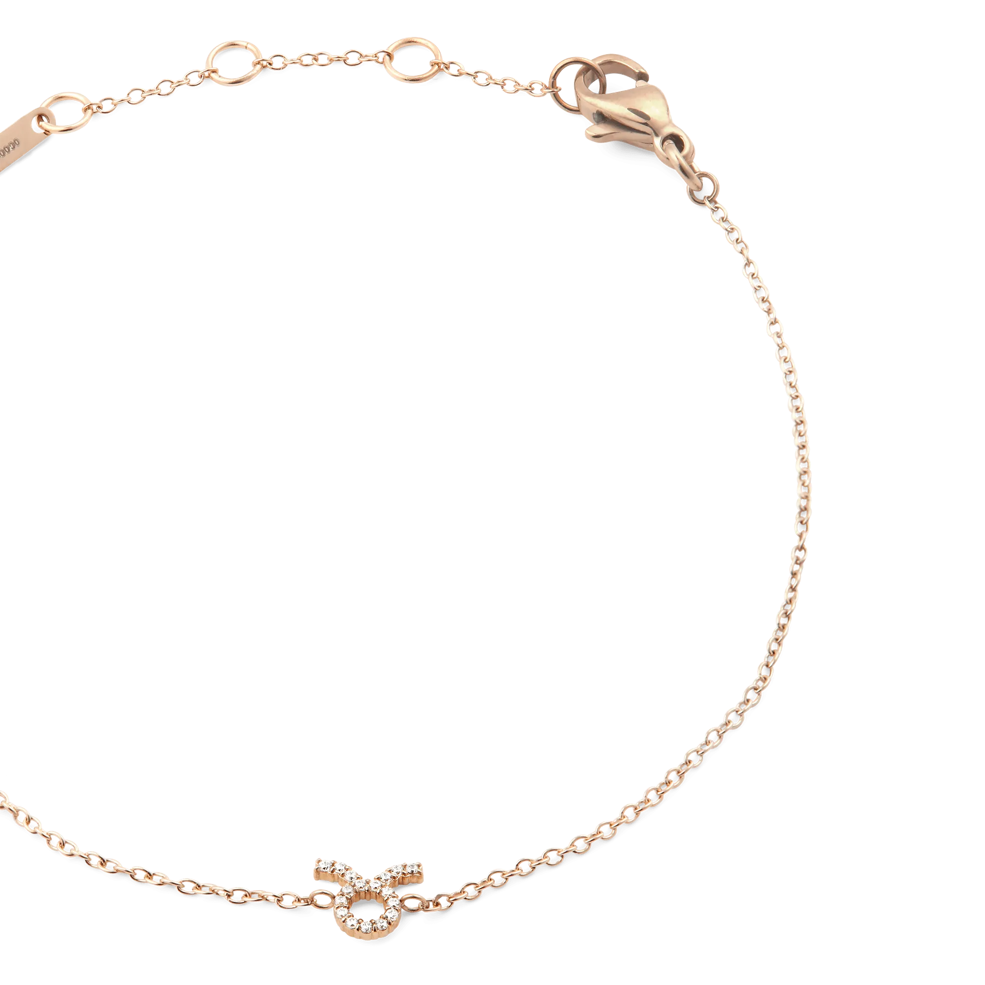 Crystal Zodiac Chain Bracelet Rose Gold Daniel Wellington