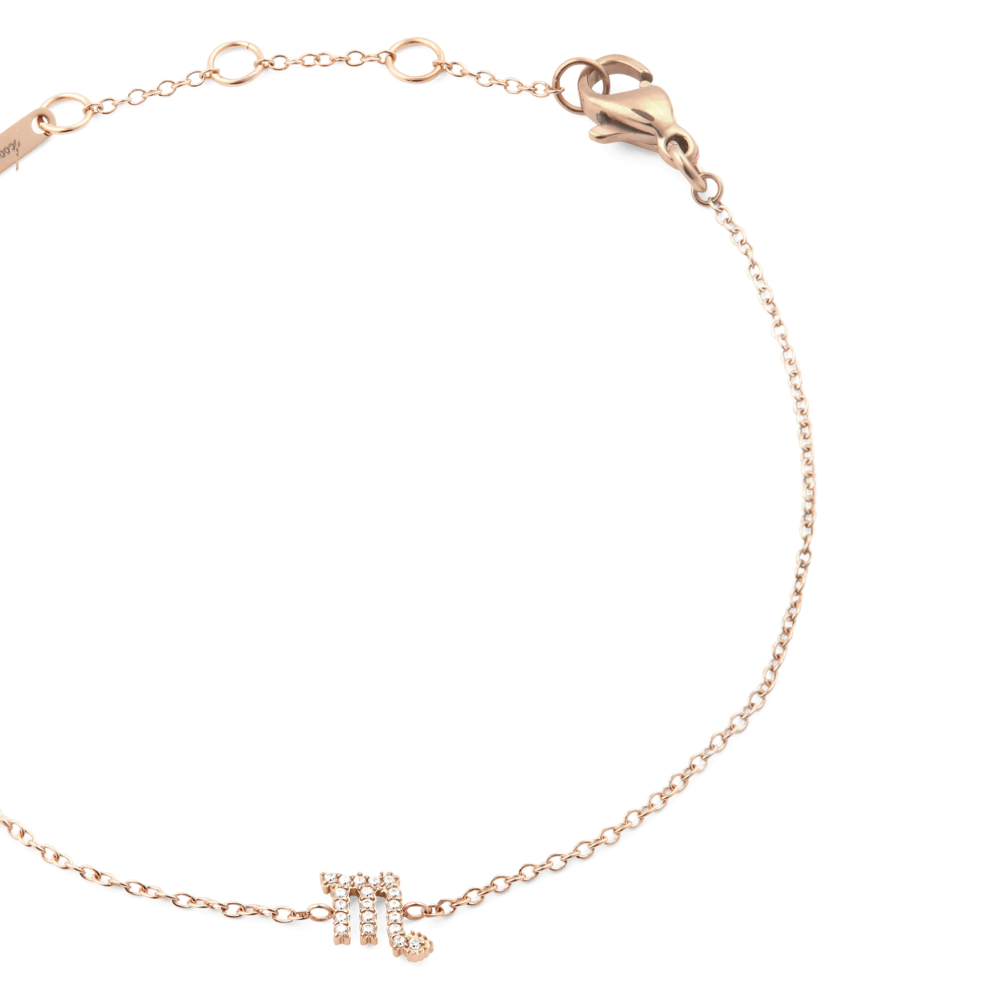 Crystal Zodiac Chain Bracelet Rose Gold Daniel Wellington