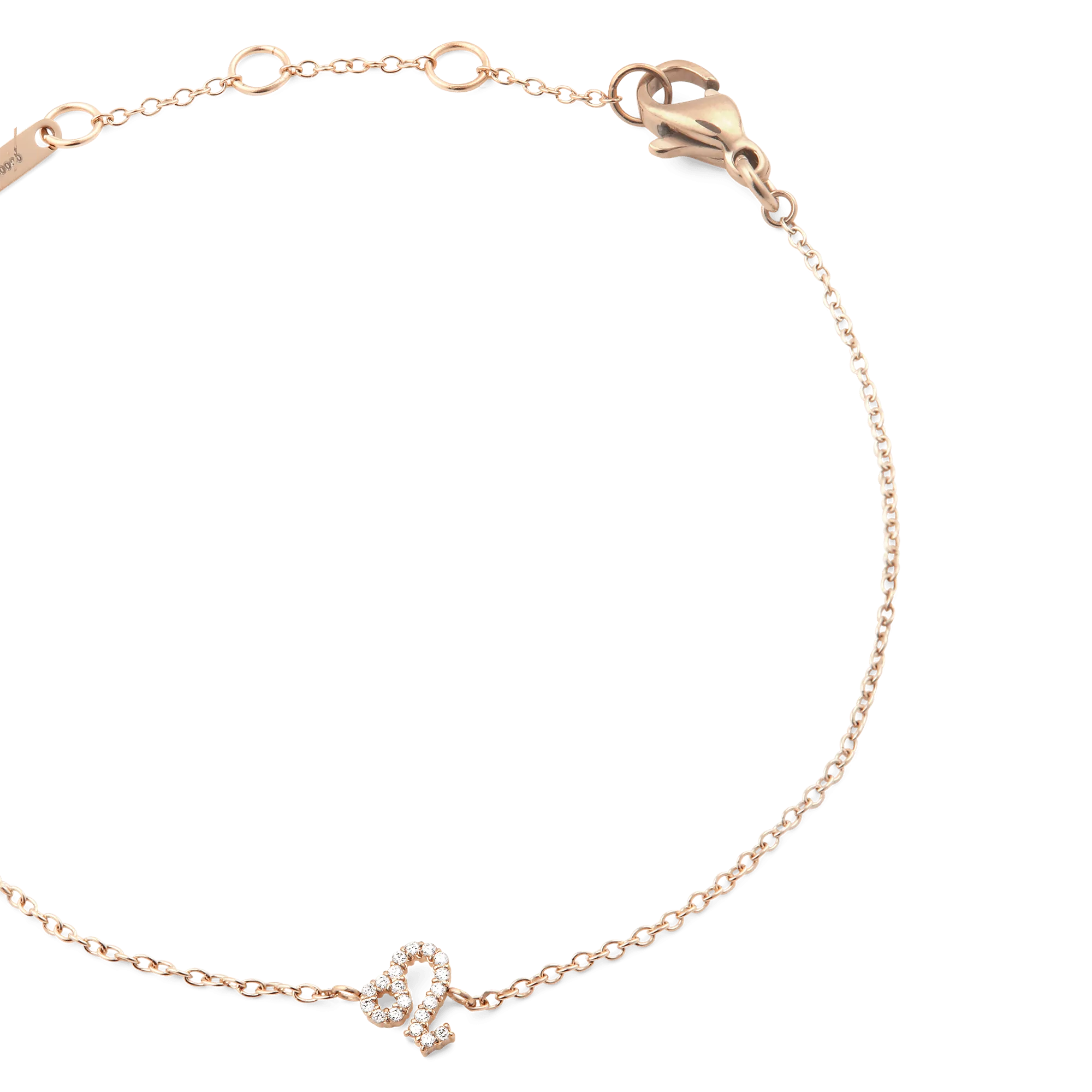 Crystal Zodiac Chain Bracelet Rose Gold Daniel Wellington