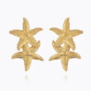 Grande Sea Star Earrings Caroline Svedbom