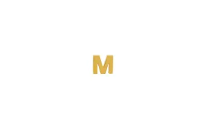 IX M 22K Gold Plated Stud