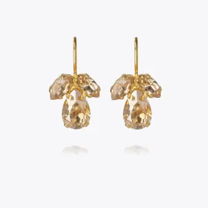 Petite Timo / Golden Shadow   Silk Caroline Svedbom