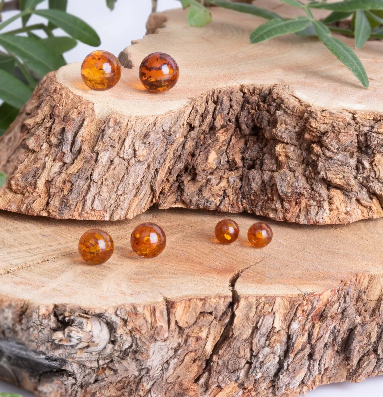 Sterling Silver Amber 6mm Round Stud Earrings Free Gift