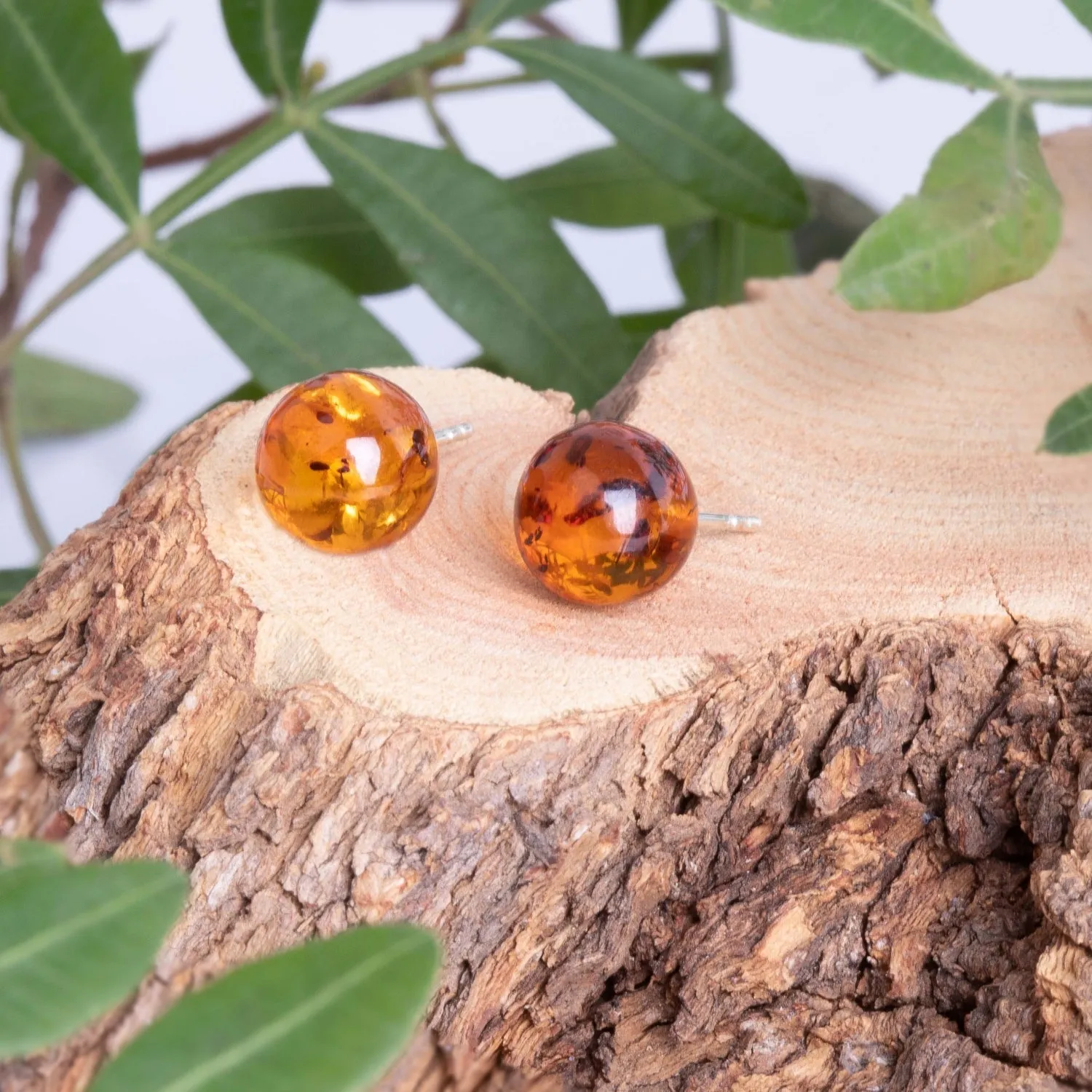 Sterling Silver Amber 6mm Round Stud Earrings Free Gift