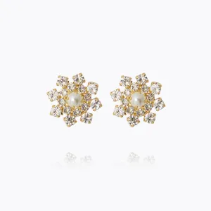 The Luckiest Earrings / Crystal Caroline Svedbom